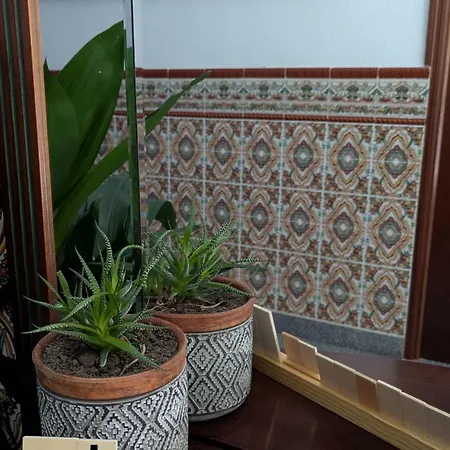 El Parral - Atelparralcabezuelaes