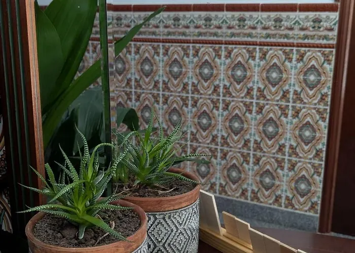 El Parral - Atelparralcabezuelaes